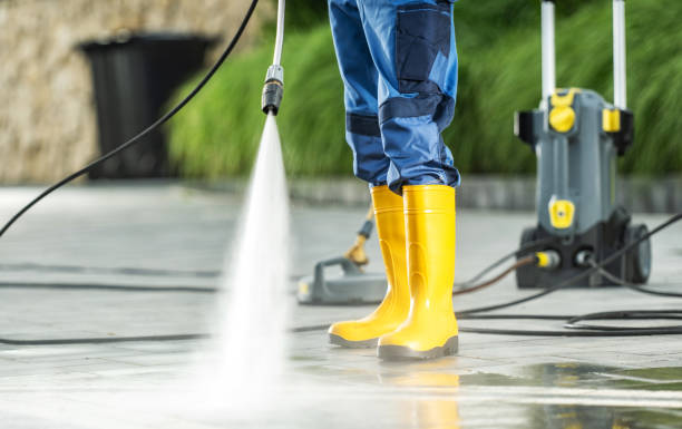 Best Exterior Home Cleaning  in Parshall, ND
